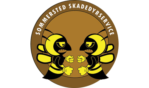 Skadedyrsbekæmpelse i Skærbæk